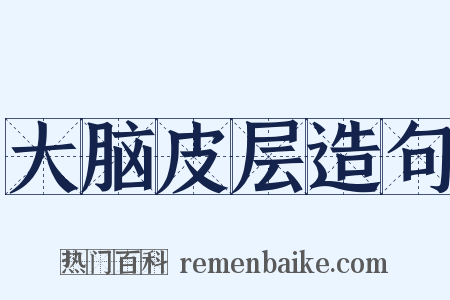 大脑皮层造句是什么意思的图片